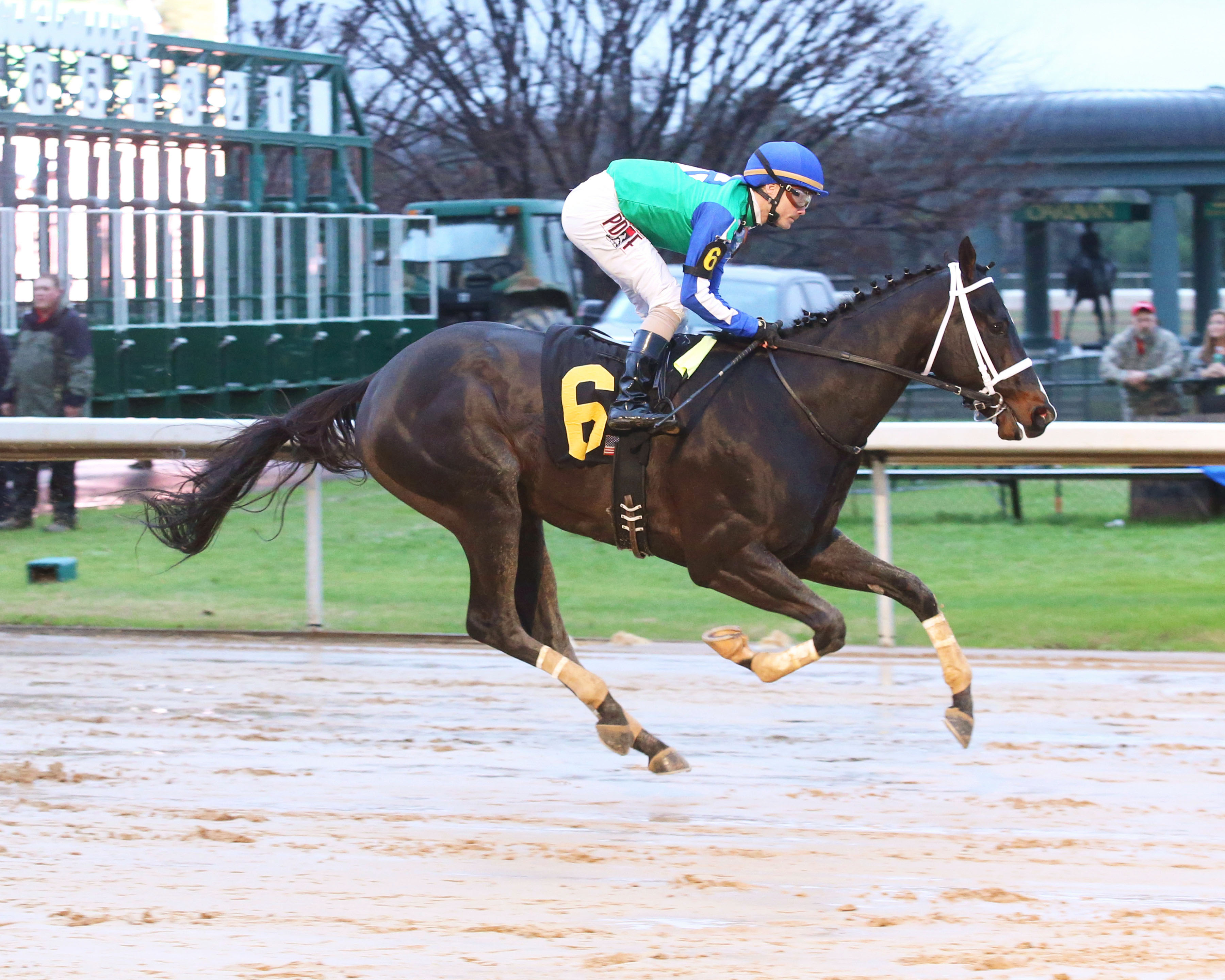 Picture of Uncontested