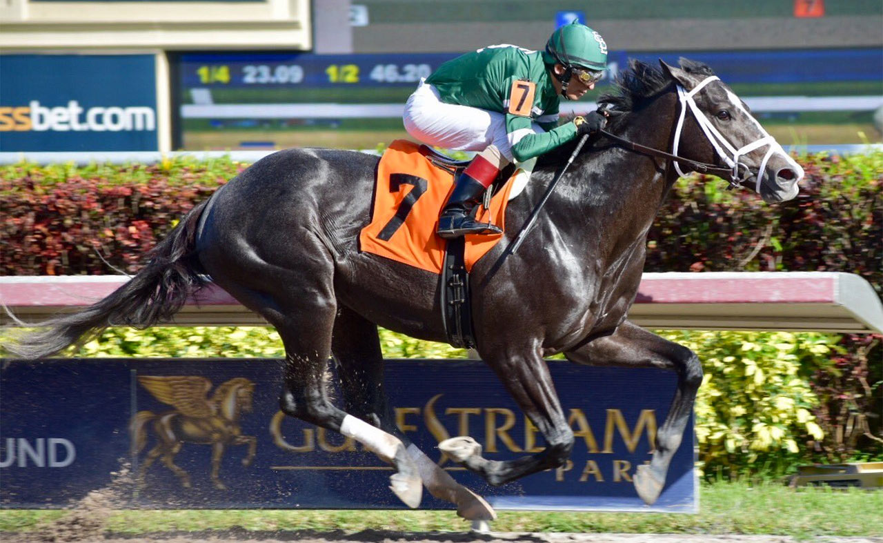 Picture of Battalion Runner