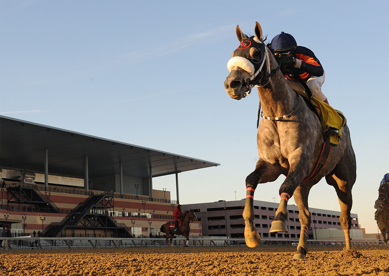 Picture of El Areeb