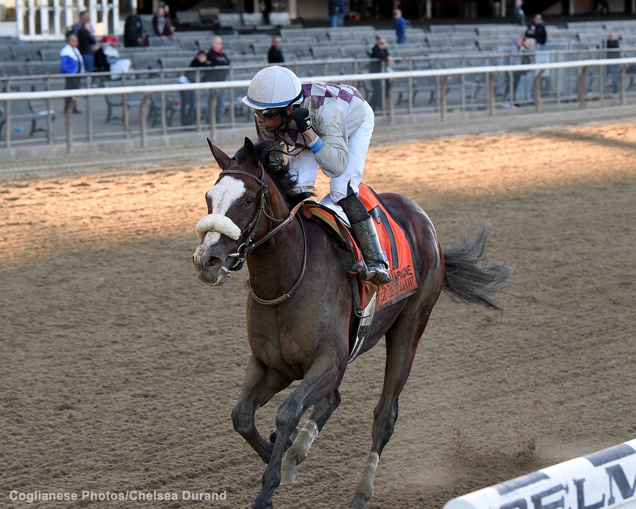 Picture of Tiz the Law