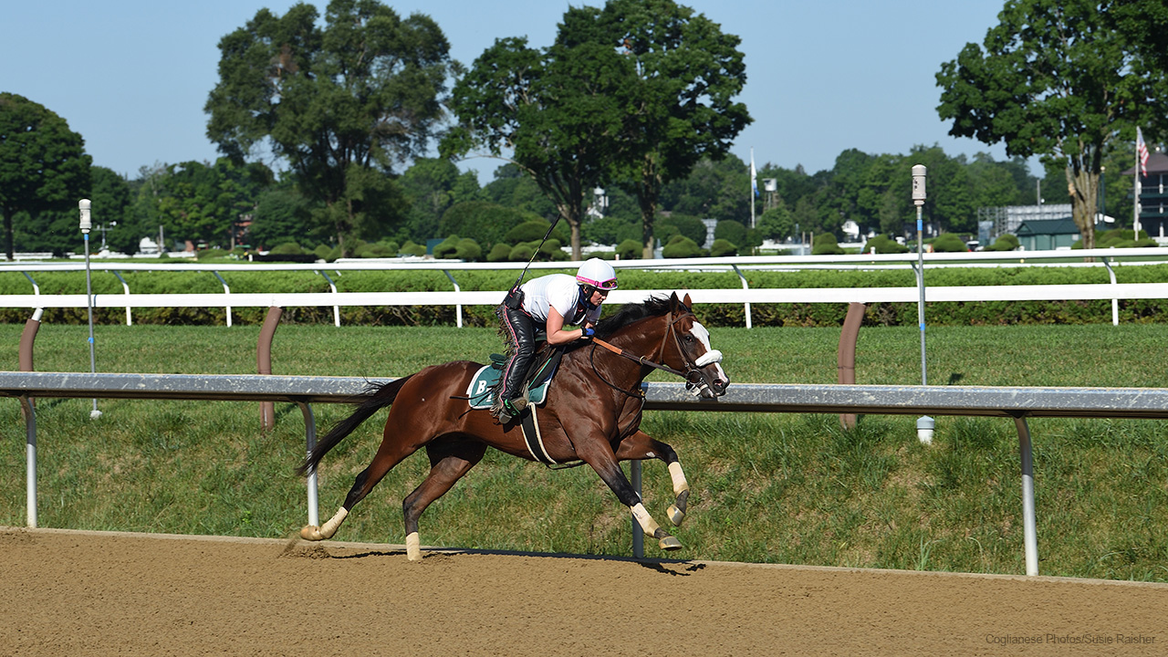 Picture of Tiz the Law