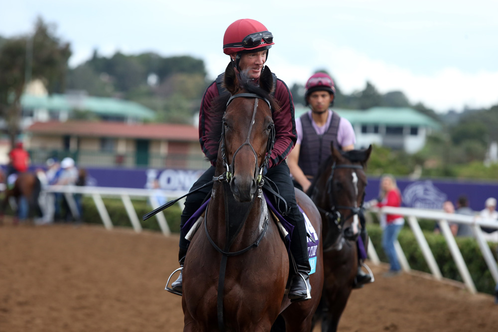 Picture of Mendelssohn