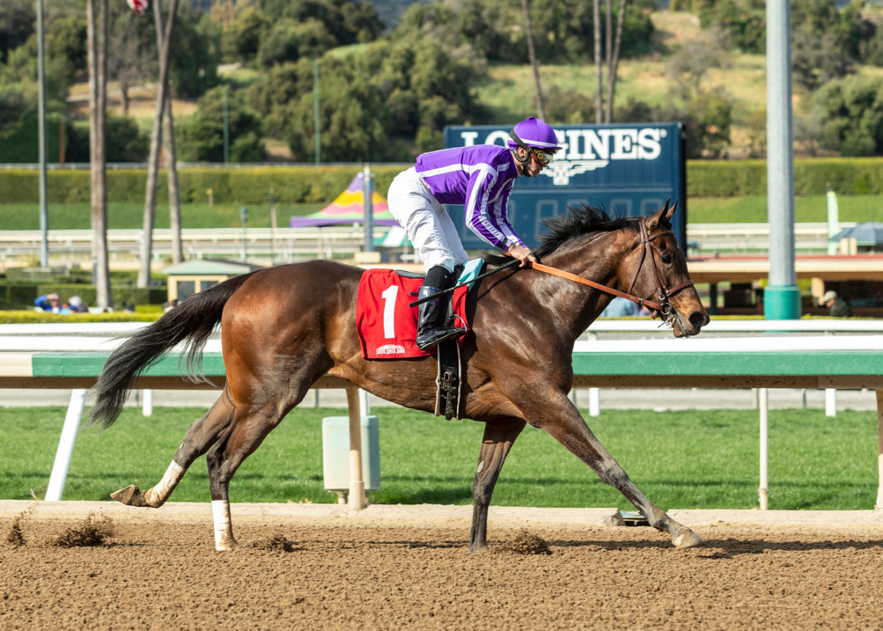 Donna Veloce 2022 Kentucky Derby And Oaks May 6 And May Free Download