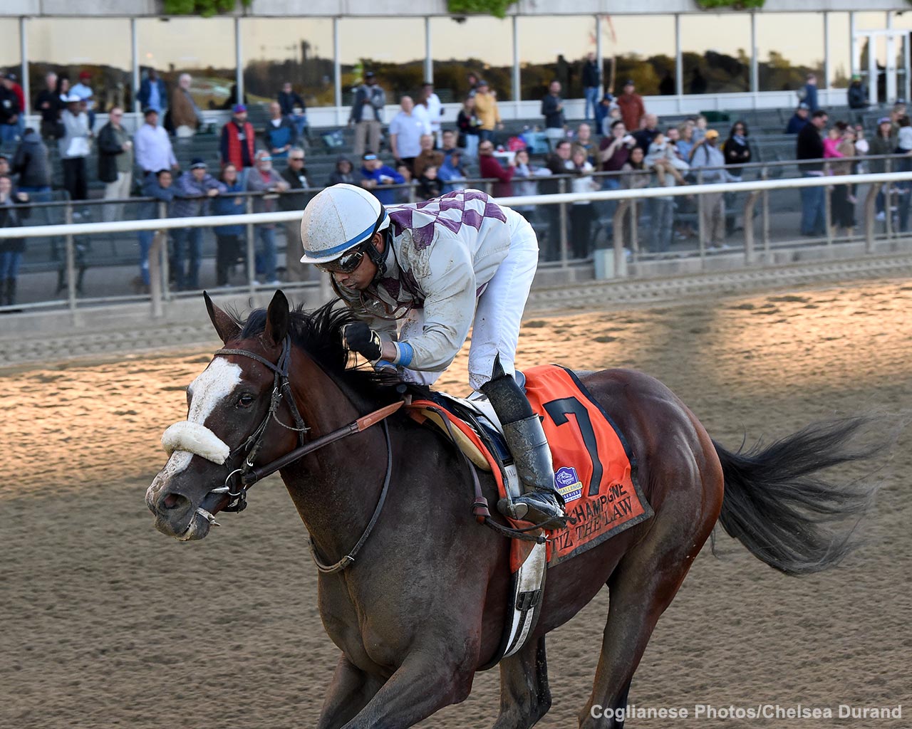 Picture of Tiz the Law