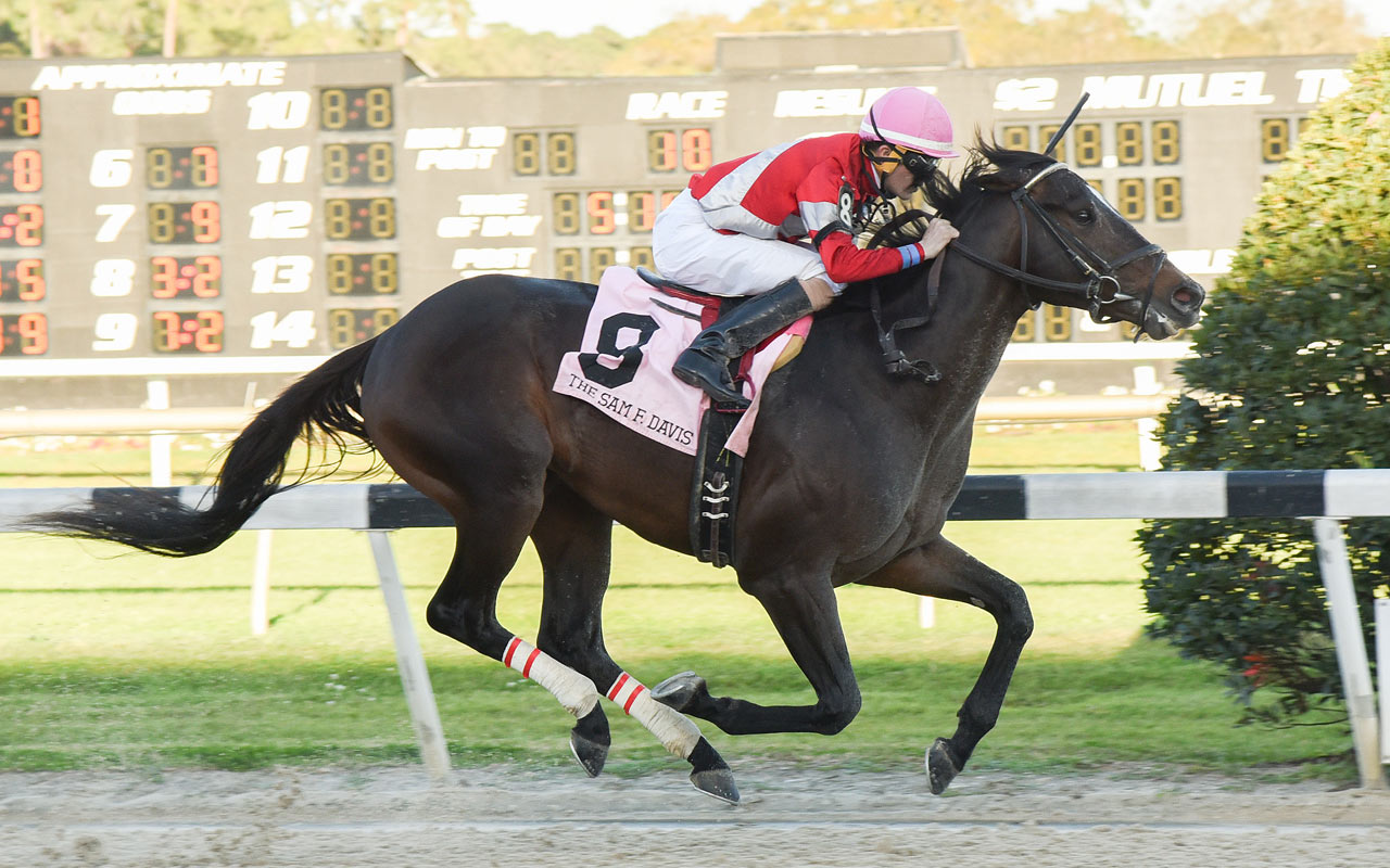Picture of McCraken