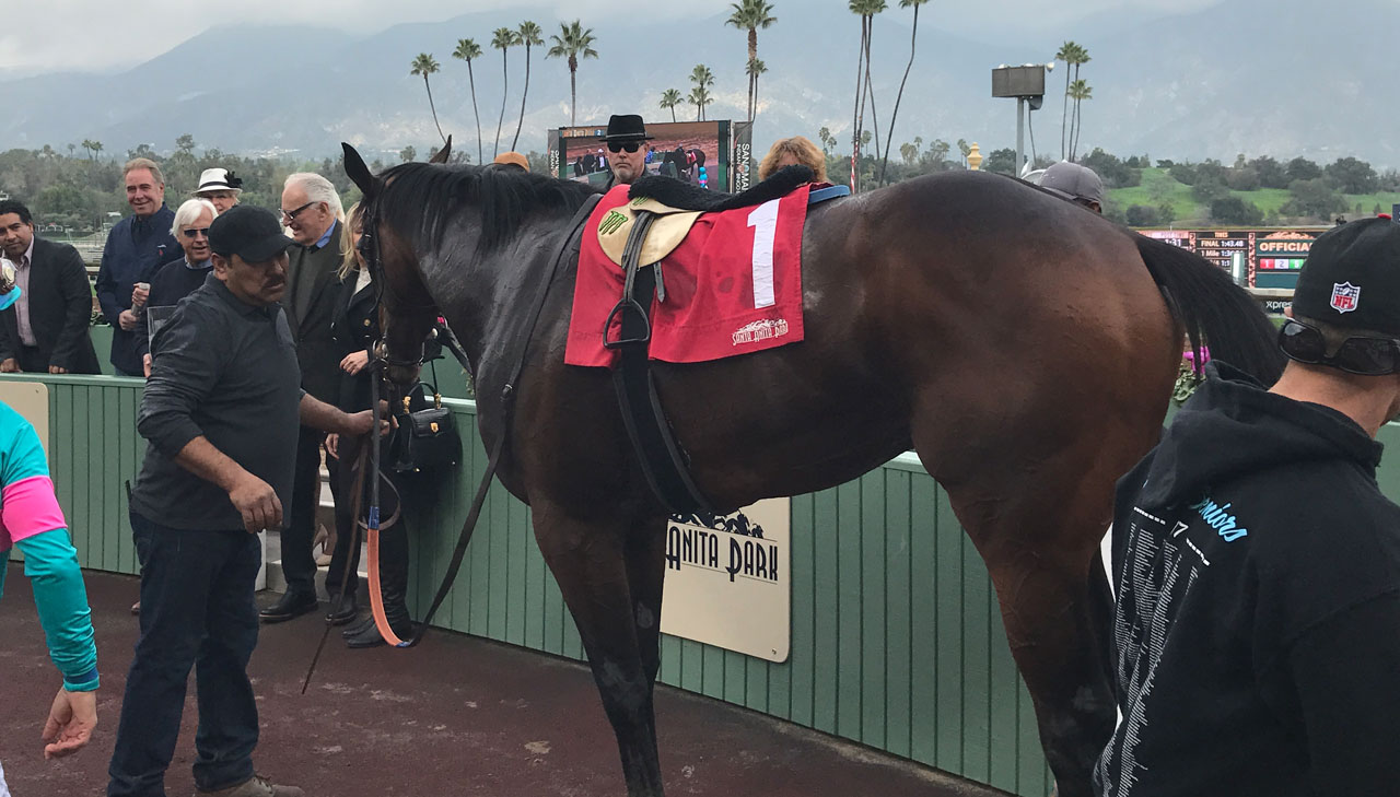 Picture of Royal Mo