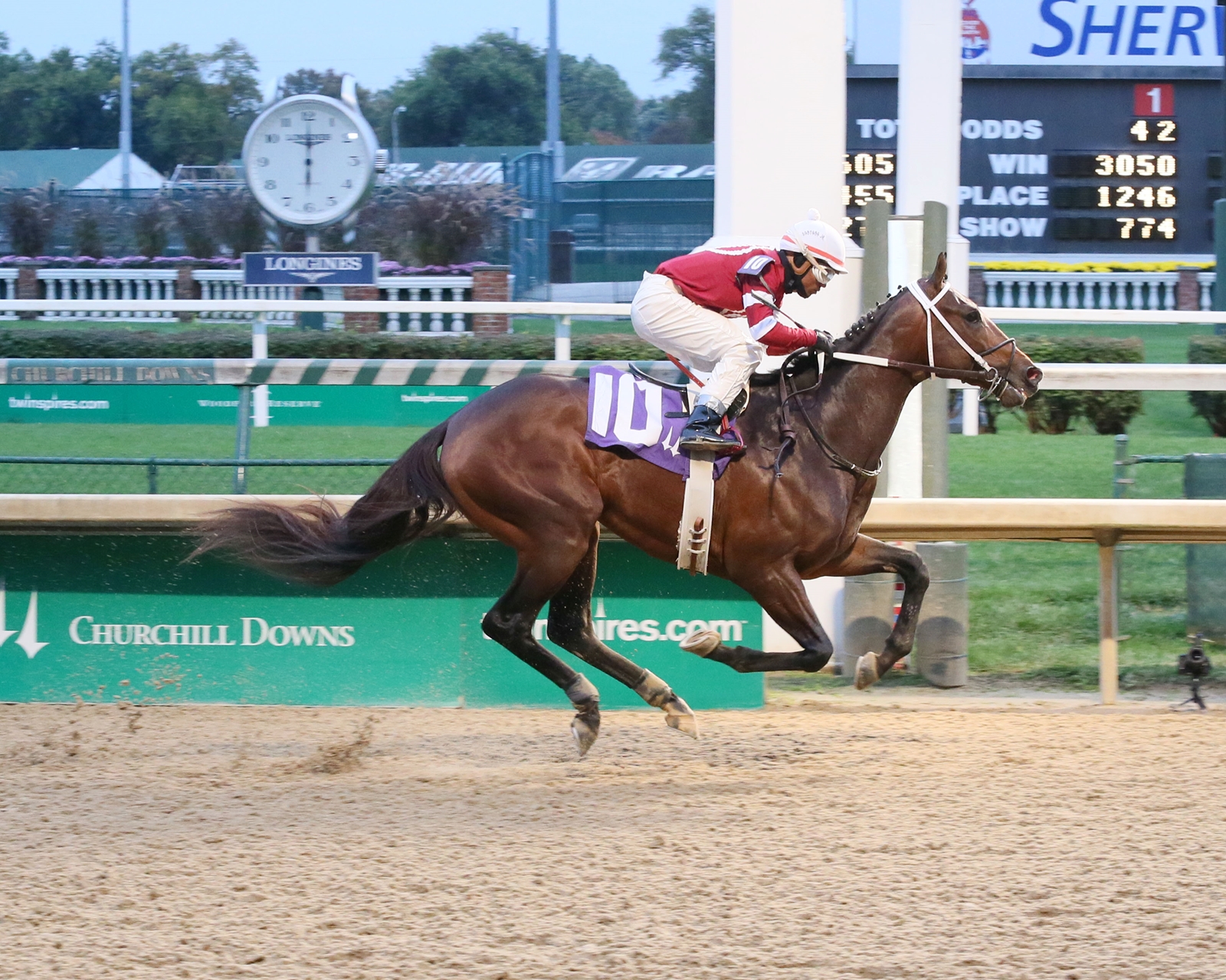Picture of Combatant